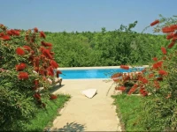 Ormanevi Otantik Hotel 