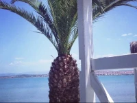 Hotel Erol - Adult Only 