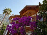 Villa Vali 