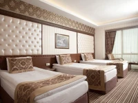 Grand Altuntas Hotel 