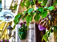 Alacati Zeynep Hotel 