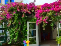 Hotel Nish Alacati 