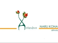 Antandros NarlД± Konak 