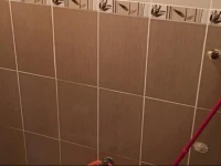 Alan Apartment 