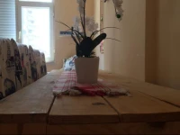 Palm Private 