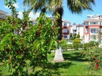 Apartment Belek 1 