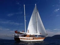 Barbaros Yachting Private Gulet 4 Cabin 