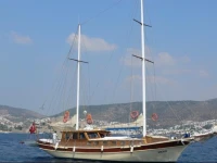 Boat Onelli 