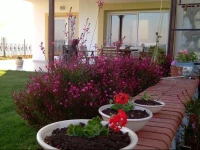 Villa Didem 