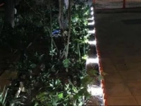 Mandalin Rooms Hotel Cesme 