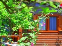 Baraka House 2*