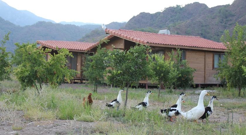 Beyaz Nar Holiday Houses 