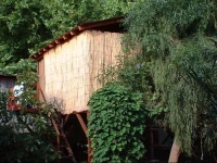 Olympia Treehouse 