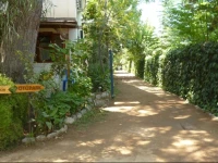 Olympos Oase 