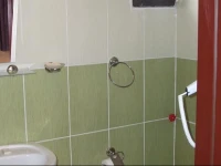 Dag Evi 