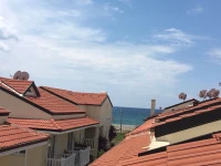 Seaside Sun 
