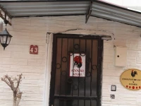 Rooster Hostel 