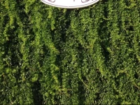 Lavenders Lodge Hotel 
