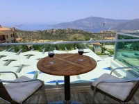 Villa Tiger Exclusive 