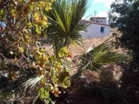 Seaview Apartment Karaburun 
