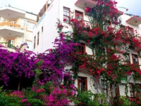 Aphrodite Pension 