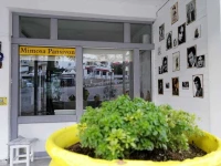 Mimosa Pension 
