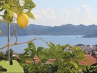 Г–zГјer Limon Apart 
