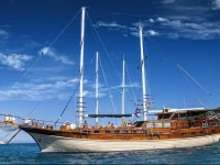 Blue Voyage Forsa 