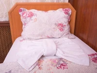 Hotel Ottoman 