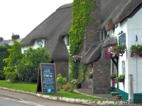 Greyhound Country Inn 3*