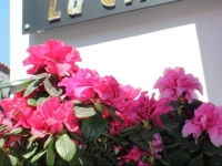 La Casa Butik Otel 