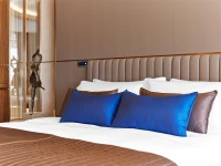 The St. Regis Istanbul 5*