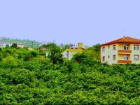 Trabzon Withingreen Apart 