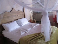 Alexander Cave House 