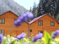 Beyza Motel & Bungalow 