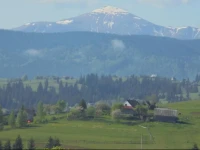 Gutsulochka 