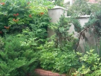 Virskogo Guest House 