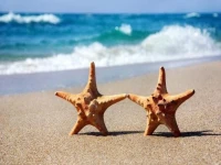 Astarta 