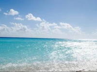 Near the Sea 