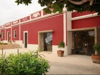 Lost & Found Hostel 