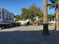 Terras Novas 