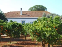 Quinta Do PaГ§o 