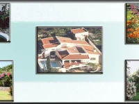 Genie Holiday Rental 