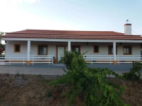 Corvos e Cadavais 