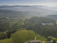 Monverde - Wine Experience Hotel 