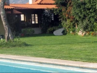 Quinta Do Pomarinho 
