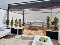 The Sweet Garden 