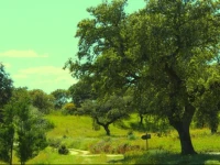Monte da Fonte Santa de SГЈo LuГ­s 