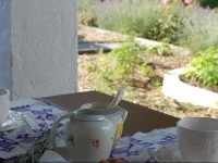 Alentejo - Health Food &amp; Nature 