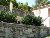 Quinta do Correia 
